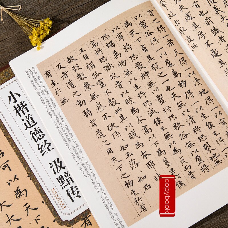 Tao Te Ching Schriften Zhao Mengfu Klein Normaal Script Borstel Kalligrafie Schrift Ouyang Xun Running Script Kalligrafie Boek