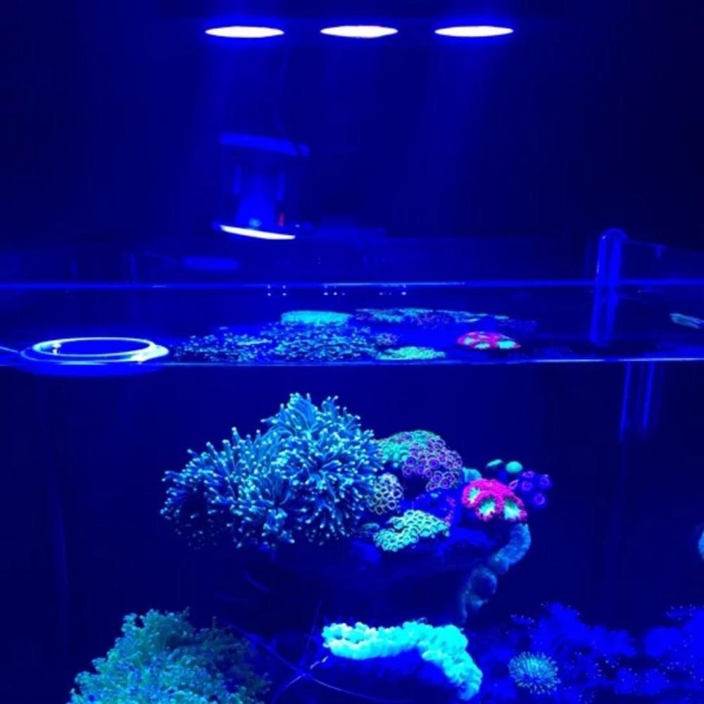 LED Spektren Nano Aquarium Licht 30W Salzwasser Beleuchtung mit berühren Kontrolle für Korallen Riff Aquarium UNS EU Stecker