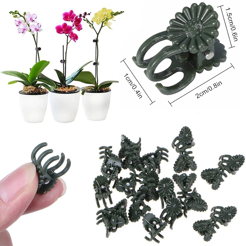 Gartenpflanzenklammern, Pfropfklammern, Stützklammern, gebundene Rankenklammern, Blumen, Obst, Gemüse, Schmetterling, Orchidee, spezielle Clips