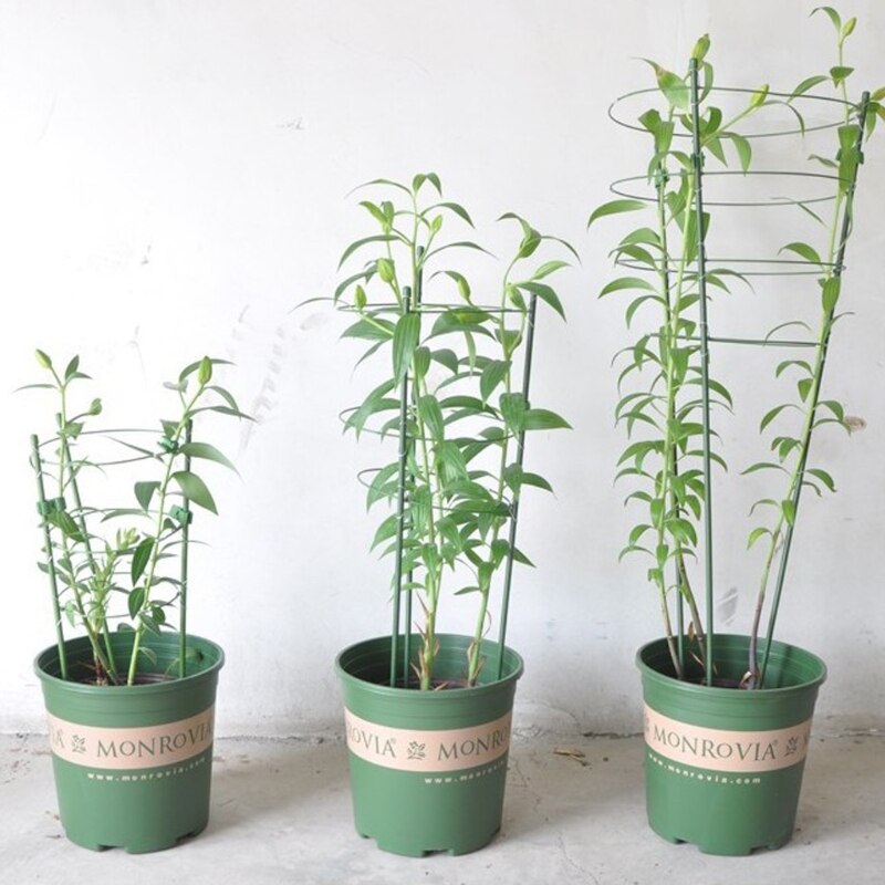 Puutarhakasvien tuki kiipeilykasvit 45cm 60cm kartiomainen ristikkotukikehys  k1mf