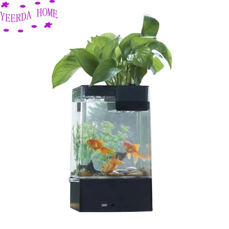 Aquarium multicolore avec lumière LED + USB, Mini petit Aquarium en plastique acrylique transparent, bureau, original