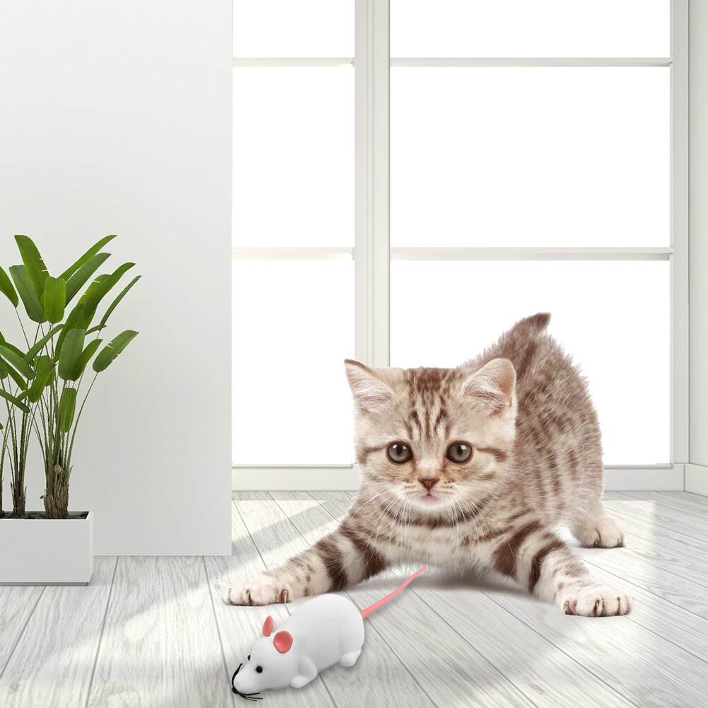 Ratón electrónico a control remoto para gatos y mascotas, juguete interactivo divertido de felpa con control remoto inalámbrico, en 4 colores, para gatitos y Mascotas