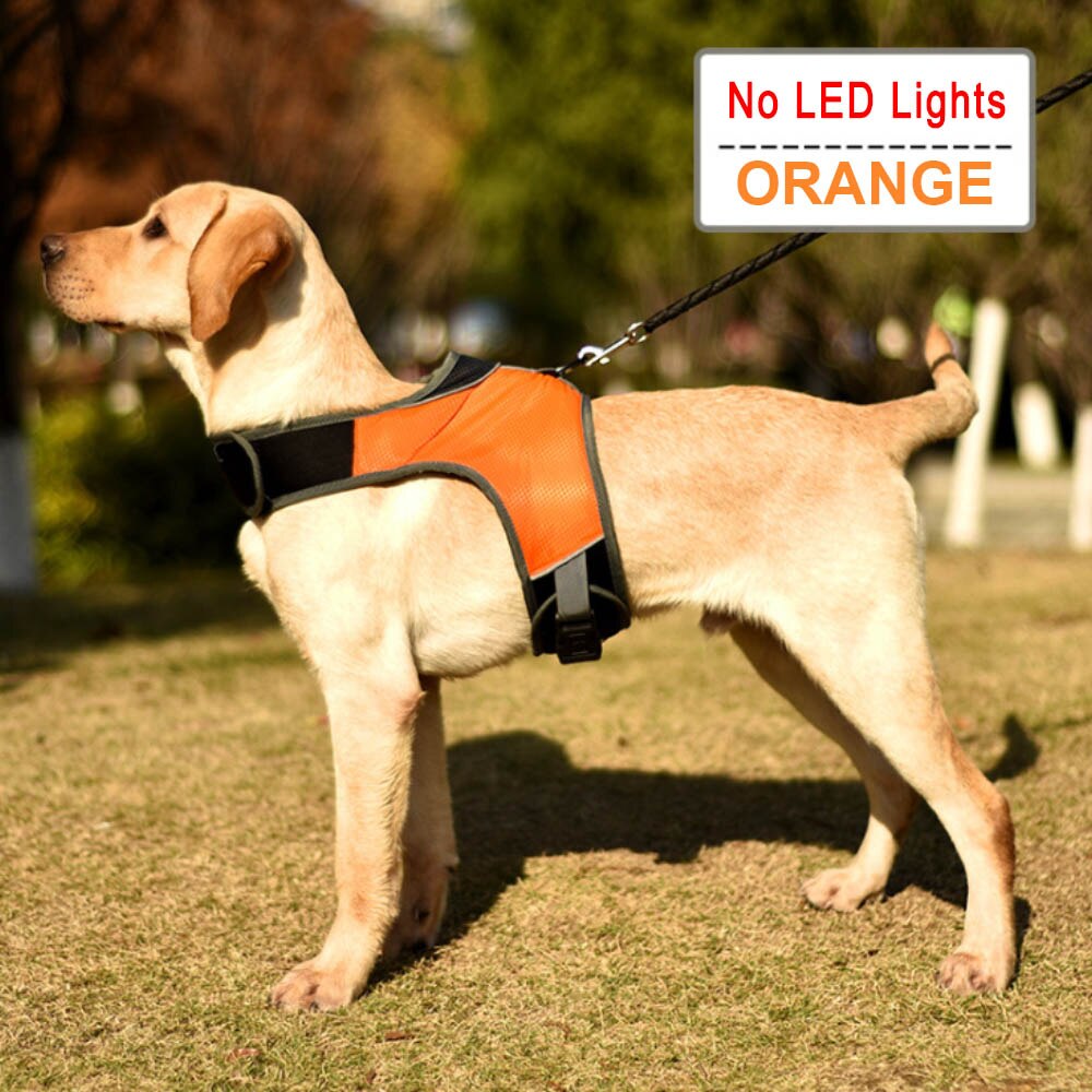 Valoisa led  k9 koiran valjaat koiran kaulapanta turvaheijastin valjaat liivi huskypaimen labradorin keskikokoisille koirille lemmikkitarvikkeet: Oranssi / M