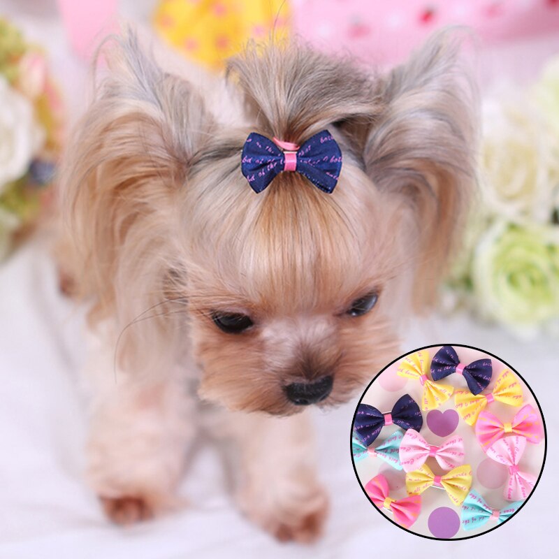 5/10/20Pcs Hond Haar Clips Honden Accessoires Kleine Puppy Kat Haar Clip Pet Hair Accessoires hond Haar Grooming Kat Accessoires
