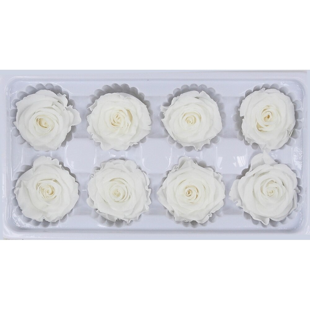 8 stk / kasse konserverede blomster blomst udødelig rose 5cm diameter mødres dag evigt liv blomstermateriale kasse: Hvid