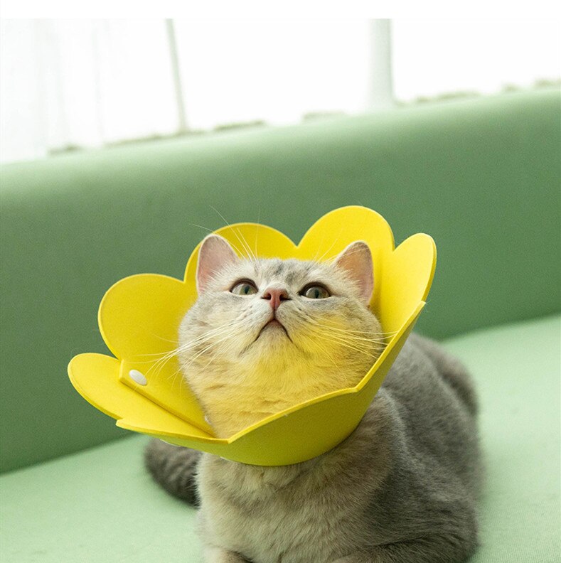 Solblomma form kattvalp hals skyddande cirkel krage anti bett anti grepp anti slickande katt hals elizabethan söt krage