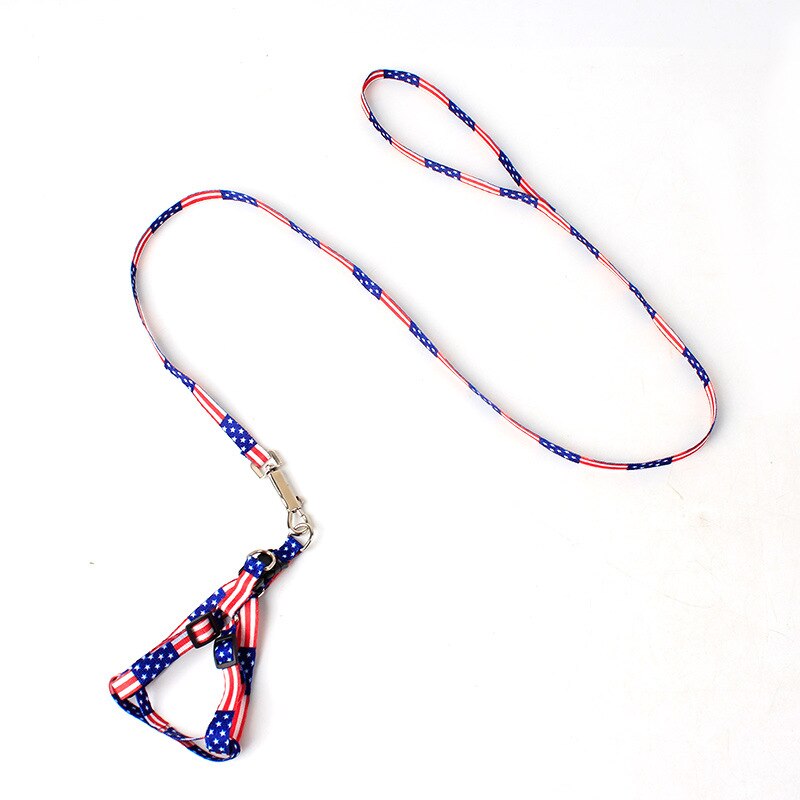 Conjunto de arnés y correa con estampado de hueso para perro, conjunto de para Chihuahua, para perros pequeños, accesorios ajustables para cachorros que caminan, Verano