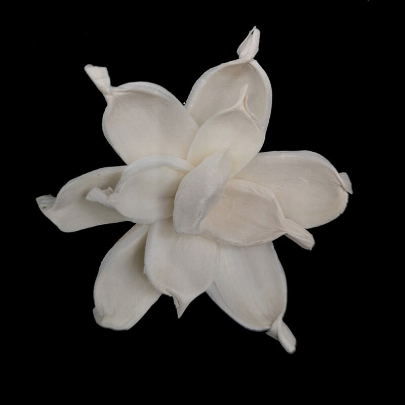 Multi-style Flower Shape No-fire Aromatherapy Rattan Reed Diffuser Accessories DIY Home Living Room Decoration: 2 5PC