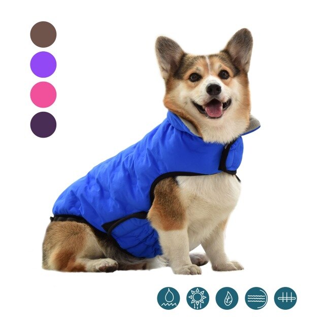 Französisch Bulldogge Korgi Hund Kleidung Mantel Haustier Kleidung Winter Welpen Katze Kleidung Jacke Für Kleine Große Hunde Katzen Weste Ropa perro: Blau / XXL