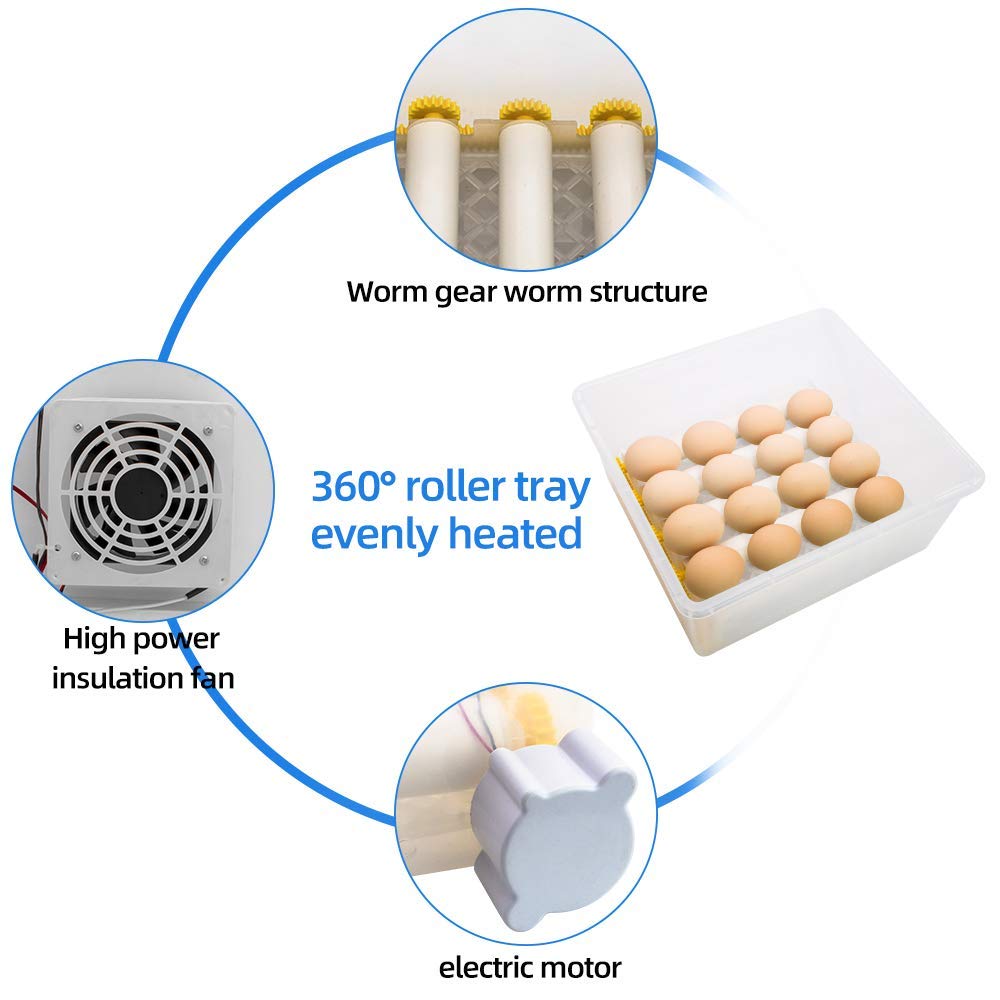 Poultry Hatchery Machine Hatching Eggs 16 Mini Brooder Small Chicken Bird Egg Incubator Hatchers for Quail Parrot Duck Pigeon