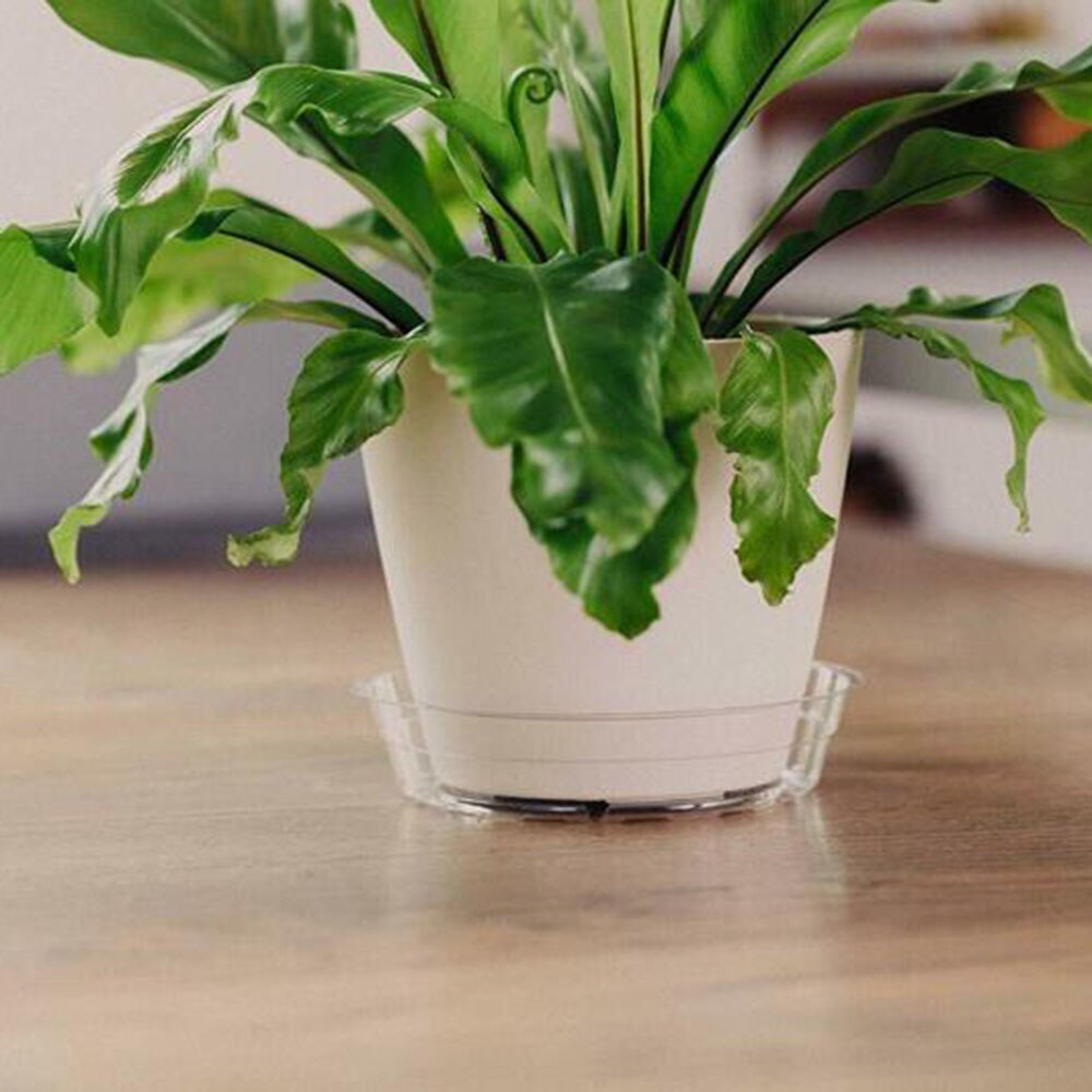 10pcs Garden Plant Saucer Drip Tray Round Flower Pot Base Plastic Clear Snack Container Desktop Trash Storage 6/8/10 Inch