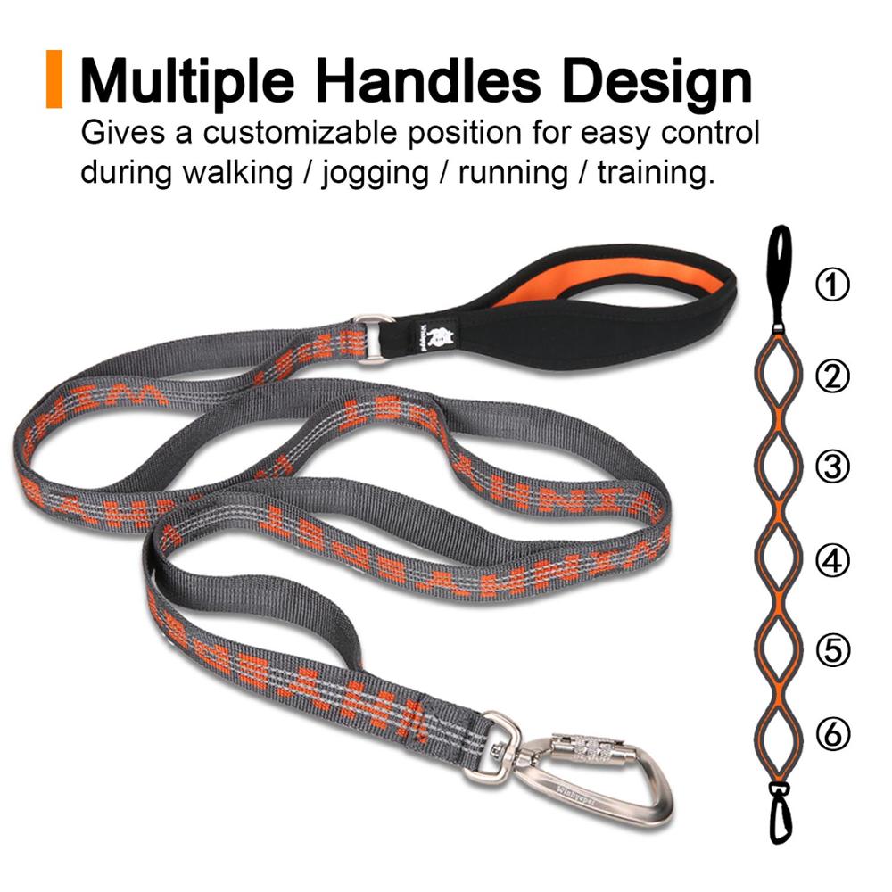 Truelove hondenriemen, duurzame reflecterende hondenriem van nylon, verstelbare trainingsriem met meerdere handgrepen voor honden.