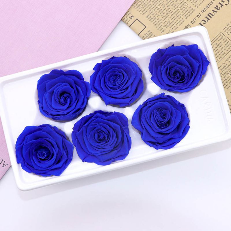 6 Roses Dried Flower Flower Head Eternal Flower B-class Wedding Family Decoration Valentine's Day Mother's Day
