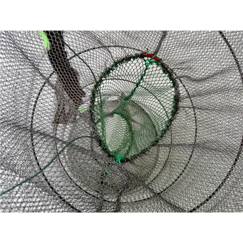 Red de trampa para cangrejos, jaula plegable portátil para langosta y camarones, accesorios de pesca