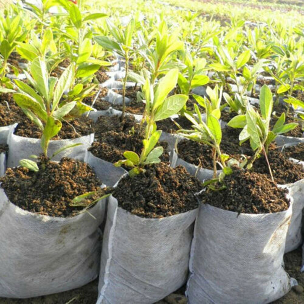 Bolsa para la plantación de árboles, contenedor, suministros de jardín Biodegradable