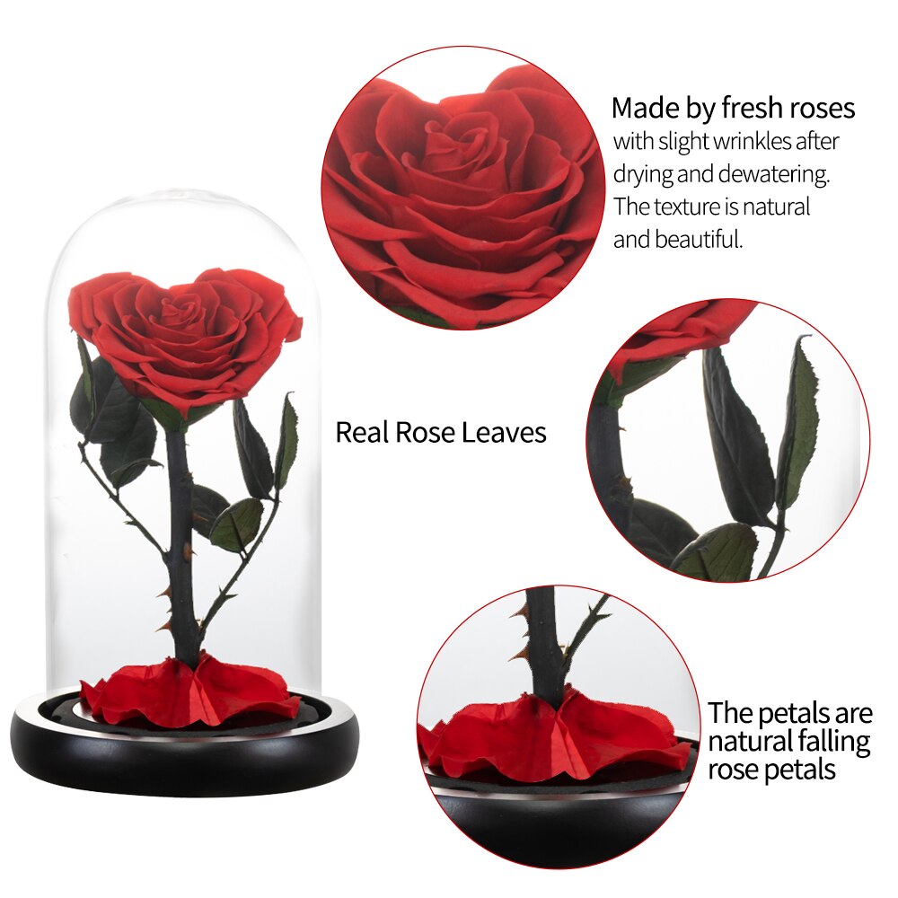 AINYROSE Heart Shaped Preserved Rose Beauty and The Beast Eternal Rose Wedding Artificial Flowers Valentine Christmas