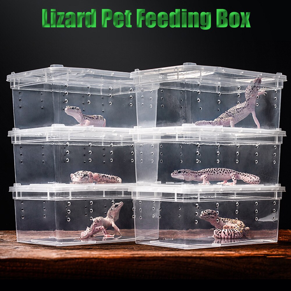 Transparent Plastic Box Insect Reptile Reptile Feeding Box Terrarium Clear Breeding Live Food Feeding Hatching Container