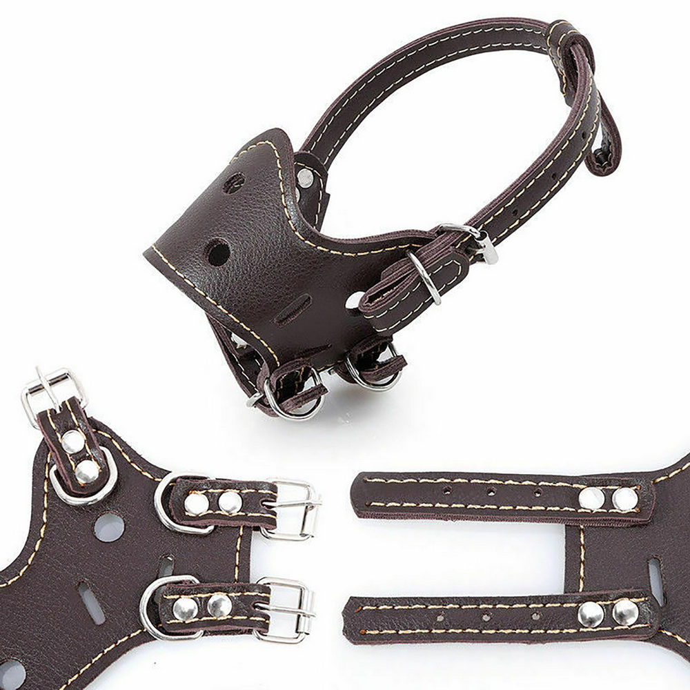 Hund Anti-Borke Biss hund Ausbildung ausrügestochen Maulkorb Maske Weiches Leder Einstellbare Haustier Hund Maulkörbe XS-XL COSP4g120
