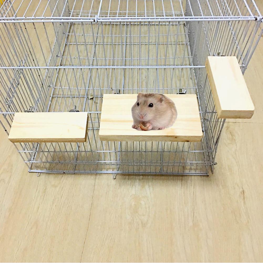 Support en bois pour animaux de compagnie, oiseau, perroquet, perchoir, plateforme suspendue, Cage amusante, jouet à mâcher, Cage suspendue, produit pour animaux de compagnie, jouet de broyage de pattes