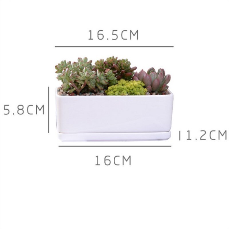 Macetas carnosas de cerámica minimalistas, rectangulares, blancas, para plantas suculentas, de porcelana, para escritorio, decoración del hogar Zakka