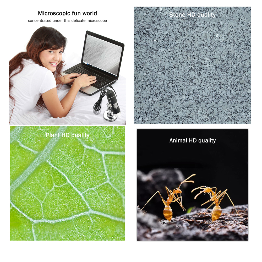 Digital Microscope Mega Pixels 50X-1600X 8 LED USB Microscope Microscopio Magnifier Electronic Stereo USB Endoscope Camera