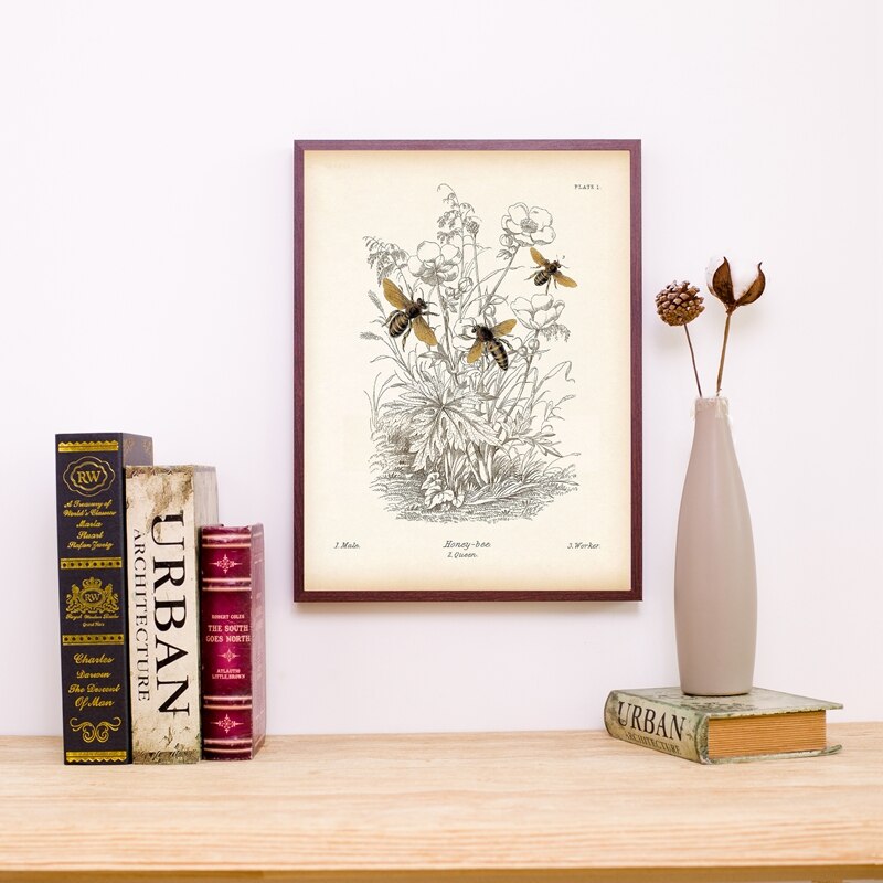 Vintage Insect Bee Poster Prints Natuurlijke Onderwijs Painting Reproductie Biologie Print Kraftpapier Poster