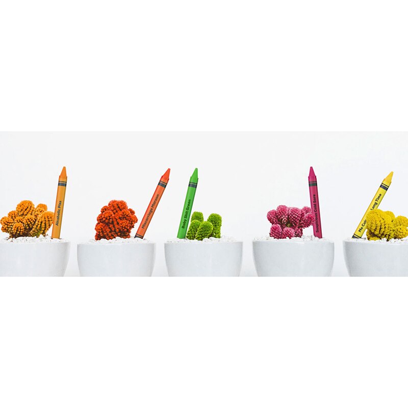 24 Count Non Toxic Crayons Easy to Hold Color Pen Safe for Children Kids Boy Girl Paint By Number Pens & Brushes TB