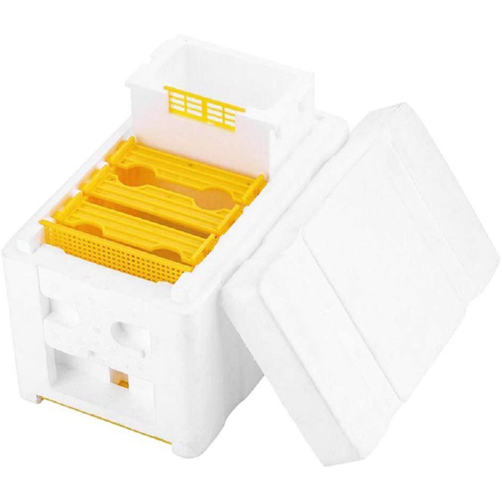1/2 stücke Biene Bienenstock Bienenzucht König Kasten Bestäubung Kasten Rahmen Bienenzucht Bausatz Ernte Biene Bienenstock Hause Bienenstock fallen imker Werkzeug G3: 1pc
