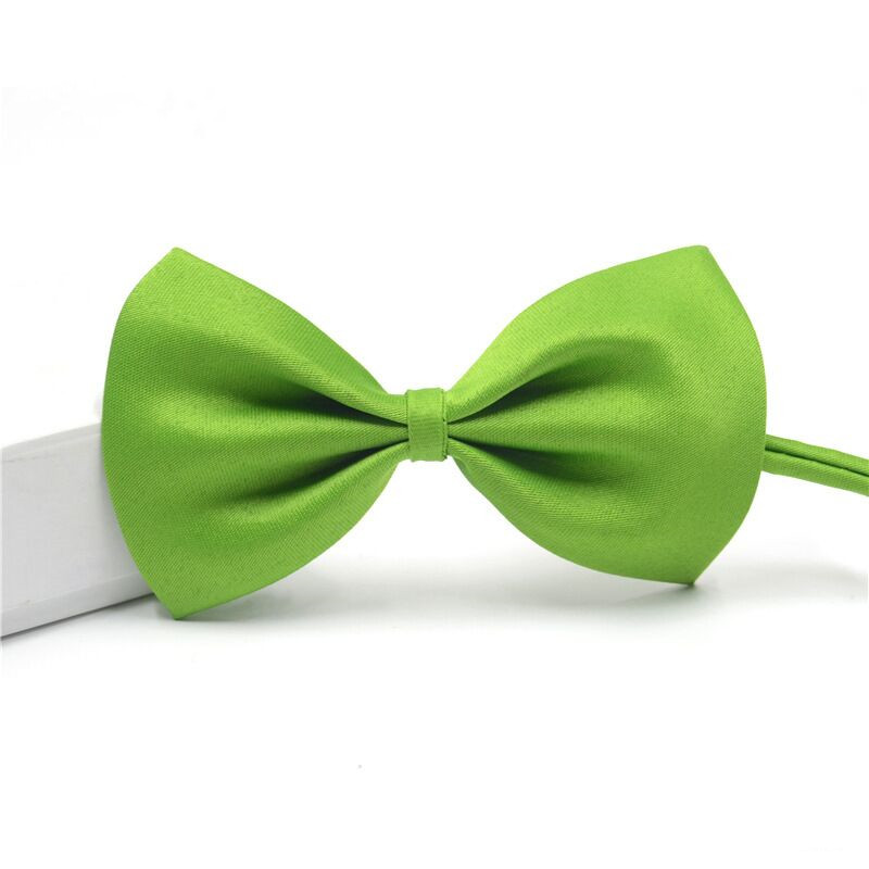 Collar con lazo ajustable para mascotas, accesorios para el cuidado de cachorros, gatos y perros, 1 piezas: Verde claro