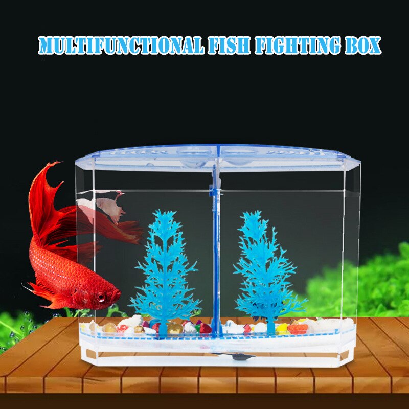 Acrylic Fish Tank Isolation Box Separation Tank Fo... – Vicedeal