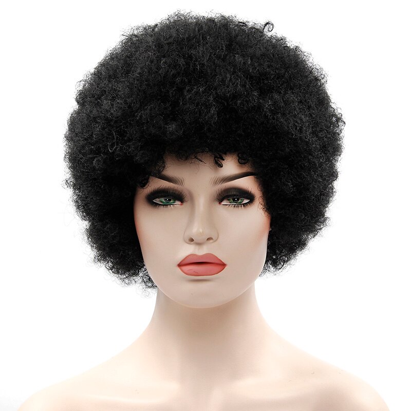 Afro Wig Mens Curly Hair Brown Synthetic Retro Wigs For Women Fluffy Wigs For Women Black Hair: #1B