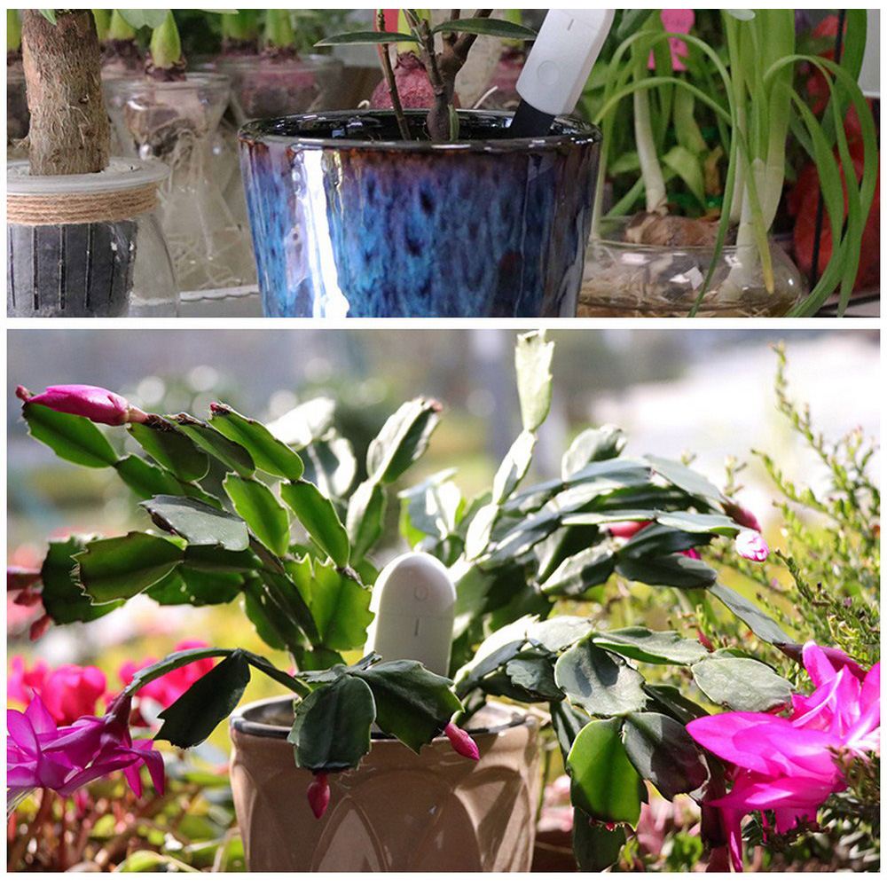 3V Bloem Monitor Bodem Water Licht Smart Tester Digitale Planten Gras Bloem Zorg Flora Sensor real-time monitoring