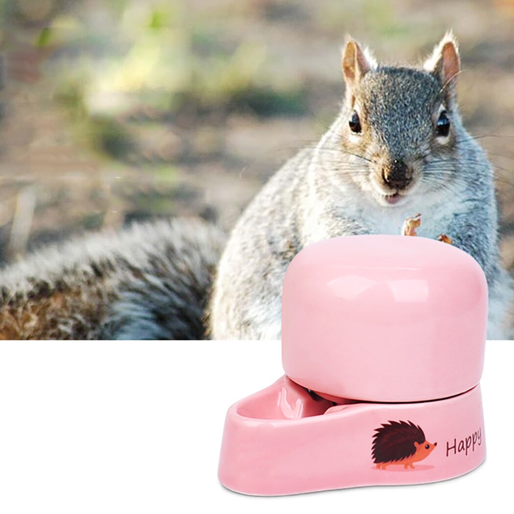 Distributeur d'eau en céramique pour Hamster, abreuvoir pour animaux de compagnie, 7.9oz