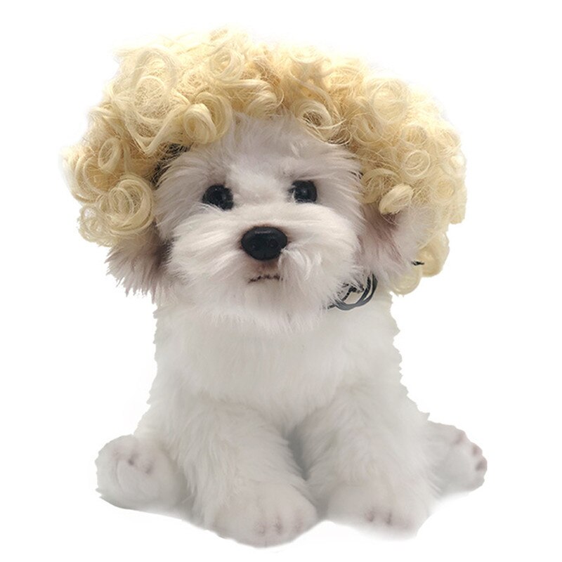 Pelucas para mascotas, accesorios de Cosplay divertidos para perros y gatos, sombrero de pelo de peluquería cruzada, disfraces, accesorios para la cabeza, suministros para mascotas de Navidad: Blonde curly hair