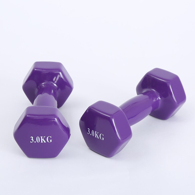 500g/Piece Dip Dumbbell Fitness Equipment Unisex Dumbbell Family Yoga Dumbbells Multi-Functional Fitness Dumbbells
