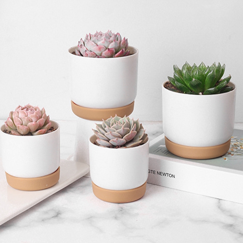 Small White Ceramic Planter Mini Flower Containers Indoor with Drainage Hole for Succulents or Cactus -Large/Small O06 21