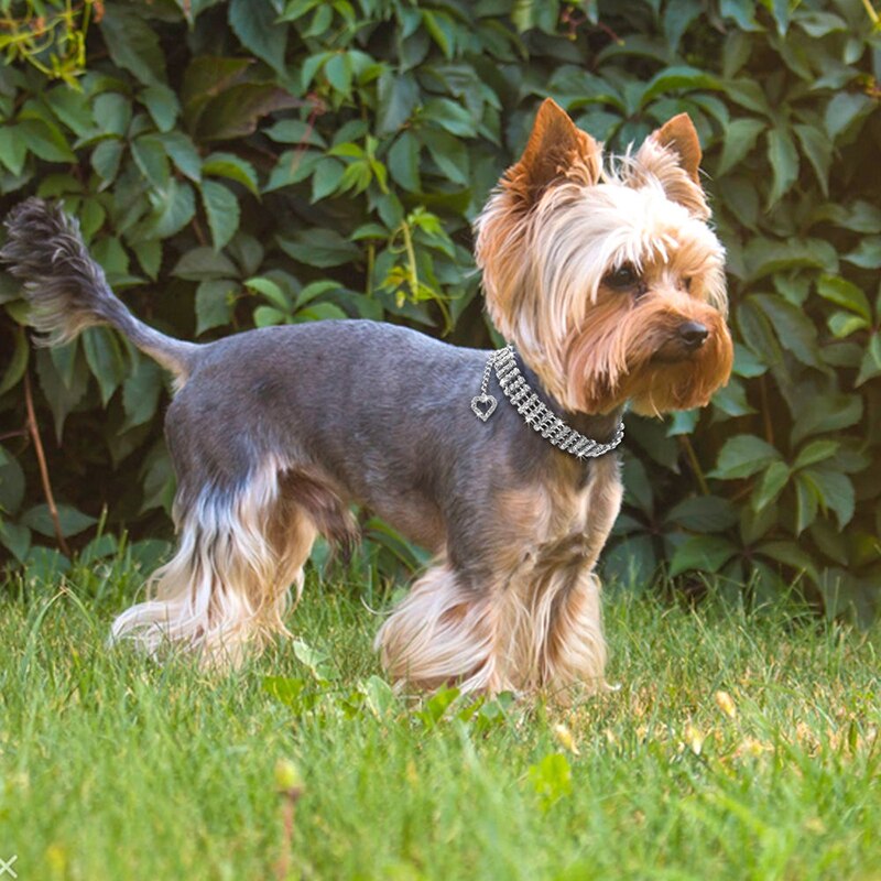 Collier de chien petits chiens Bling Faux strass collier pour animaux de compagnie chiot coeur pendentif collier chiot animal de compagnie chien cou décoration