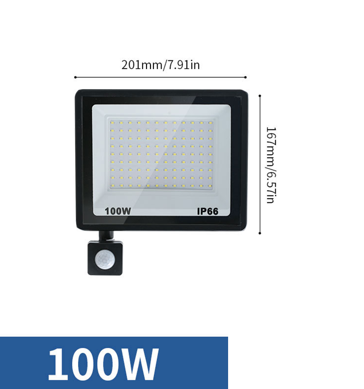 Led Floodlight 50W 100W AC220V Reflector Flood Light Waterproof Ip66 Garden Spotlight Pir Motion Sensor Wall Outdoor Lighting: black / Red / 5600K