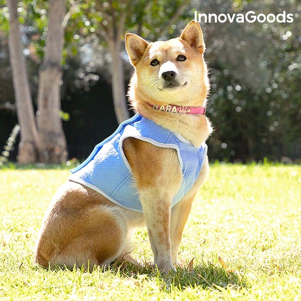 InnovaGoods Verfrissende Pet Vest voor Kleine Huisdieren-S