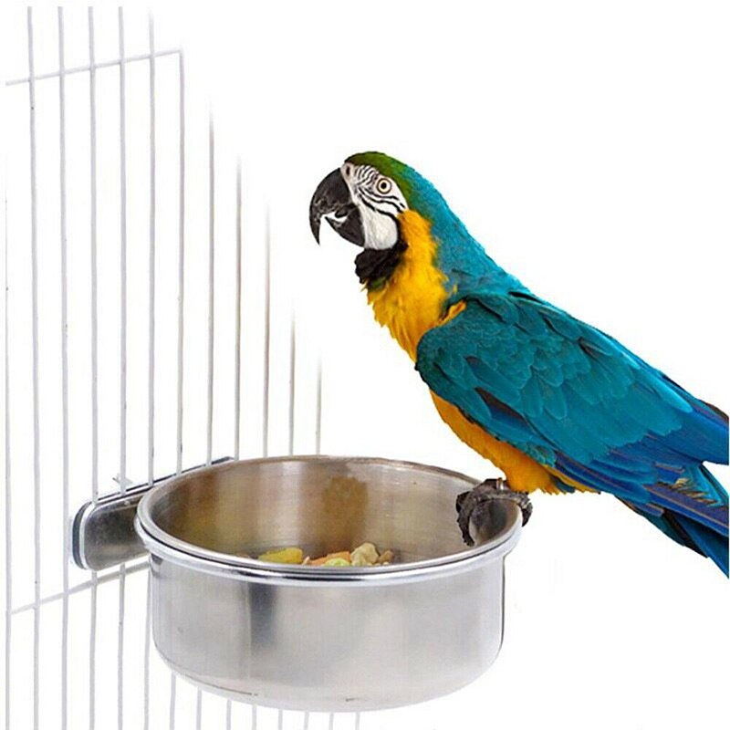 Stainless Steel Coop Cup Pet Parrots Food Feeder M... – Grandado