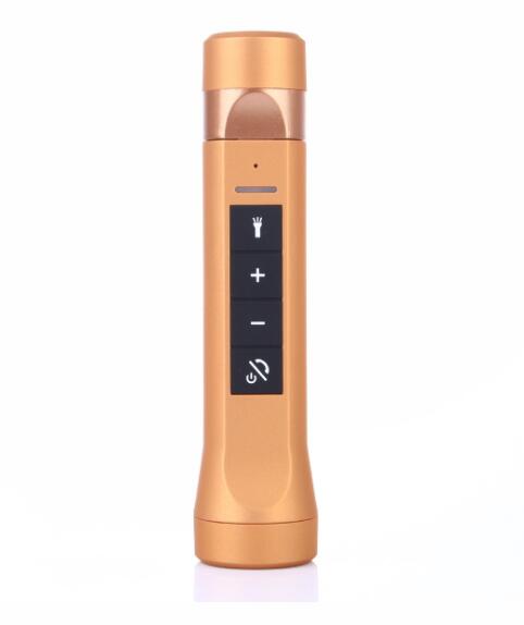 Bicycle Speaker MP3 Player USB TF Card Reader Slot Ride Audio Bluetooth Sport Speaker li-ion Battery FM Radio LED Flashlight: Gold