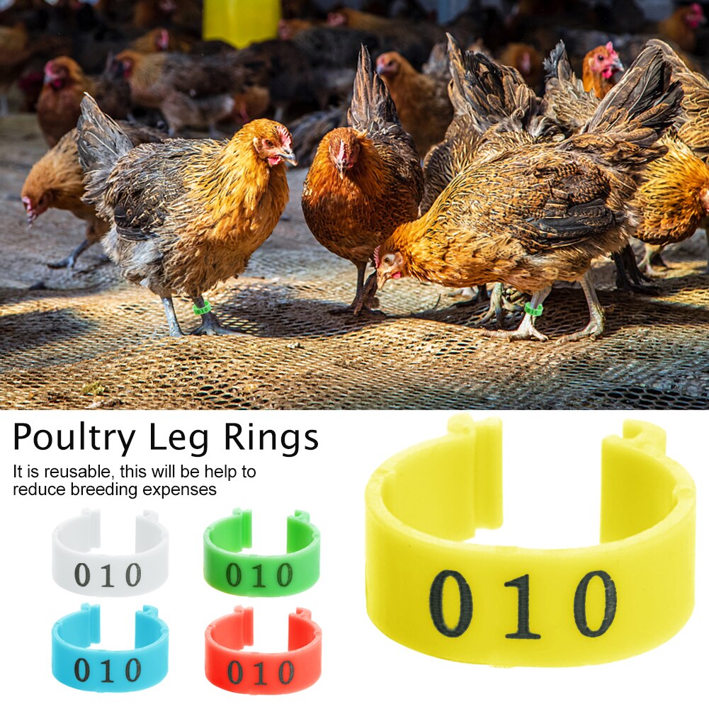 100 stk kyllinger ænder gåseduedue 001 to 100 fjerkræbenring 16mm klipbånd genanvendelige nummererede mini fuglefugle fodring
