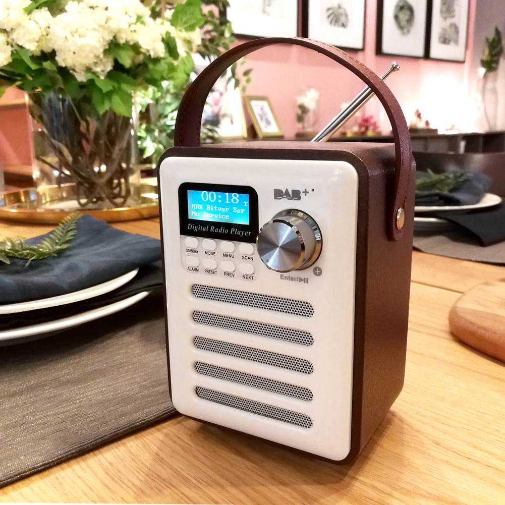 Bluetooth 4.2 Wooden DAB Radio Digital DAB/DAB+ FM... – Grandado