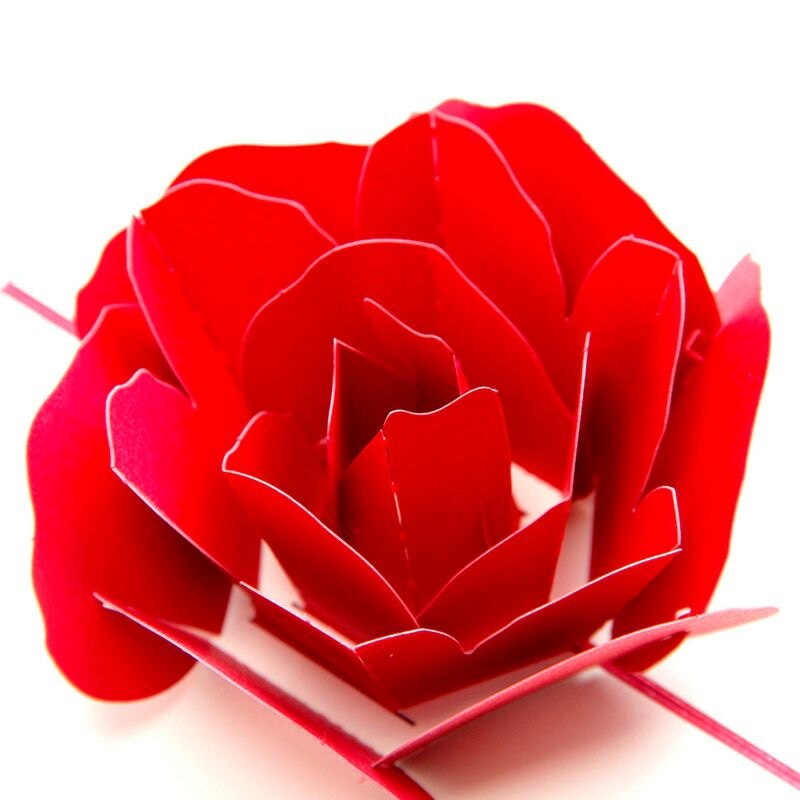 Postales de saludo de rosas en 3D hechas a mano en blanco Vintage papel Feliz cumpleaños tarjeta de de amor