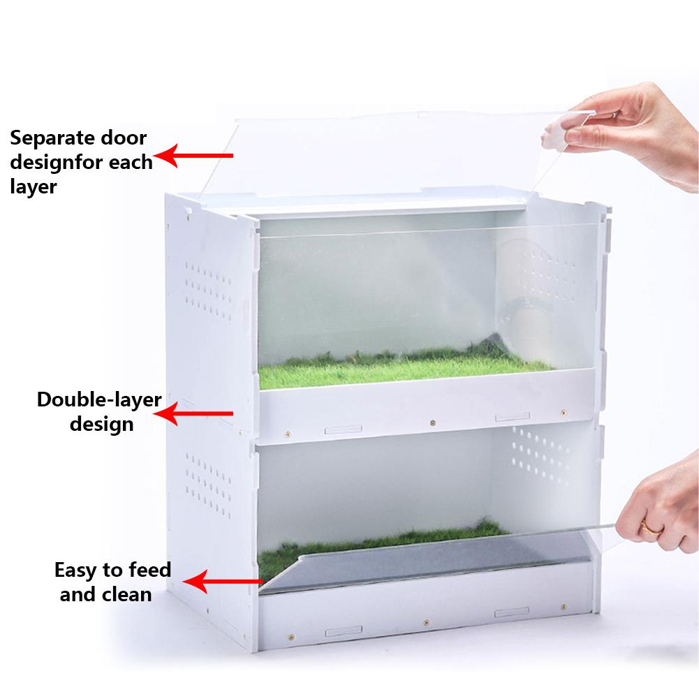 Boîte d'élevage de Reptile pour animaux de compagnie Double boîte d'élevage d'insectes serpent araignée lézard Scorpion mille-pattes boîte d'élevage