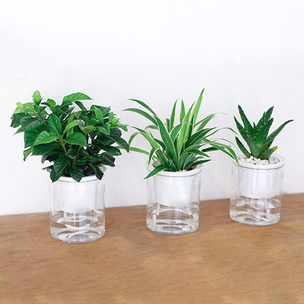 Clear Automatic Water Absorption Self Watering Hydroponic Flower Pot Planter Flower Pot