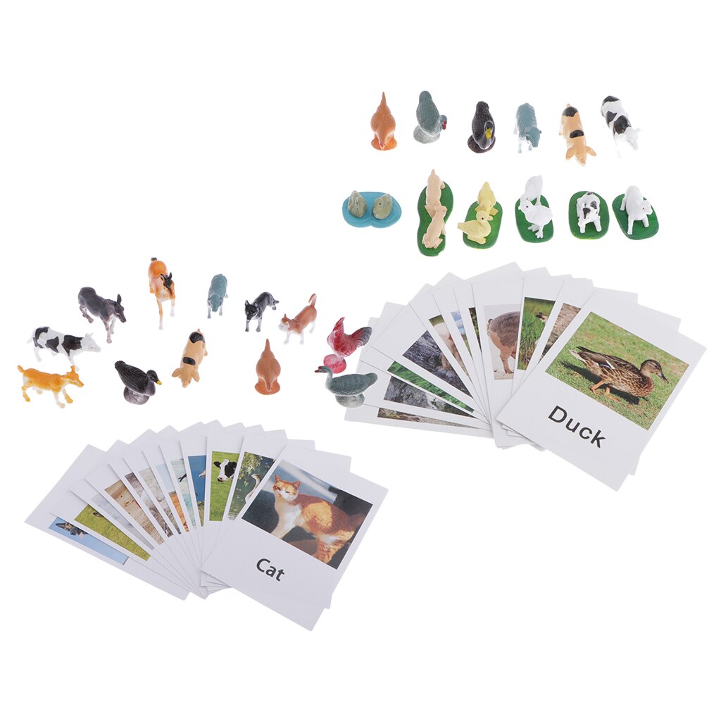 24Pc Education Animals Toy Animals Model Card Plastic & Paper Multicolor A+B