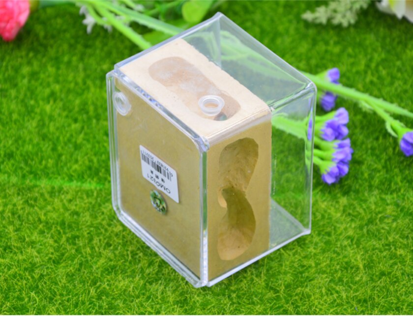 Granja de hormigas ecológica, nido cuadrado para paisajismo, casa de hormigas, taller, hormiguero para mascotas, caja de insectos de 10,3x7,6x7,5 cm,