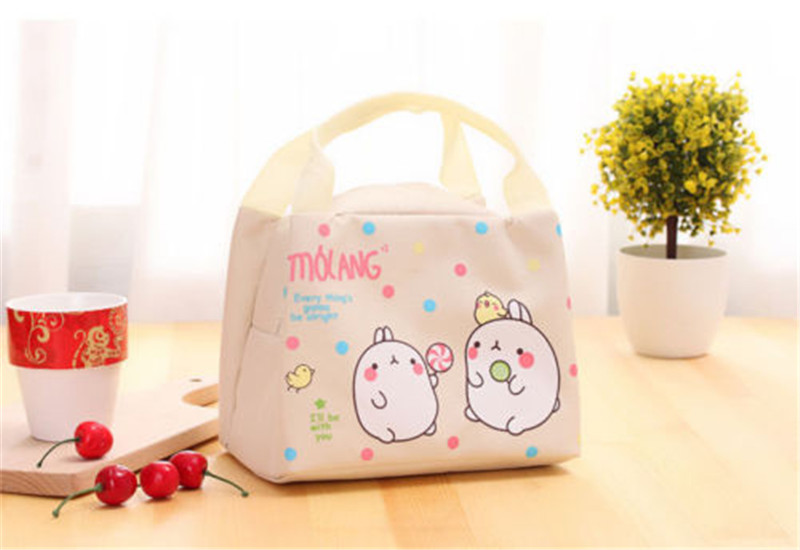 Tragbare Isolierte Thermische Kühler Bento Lunch Box Tote Picknick Lagerung Tasche Tasche: C