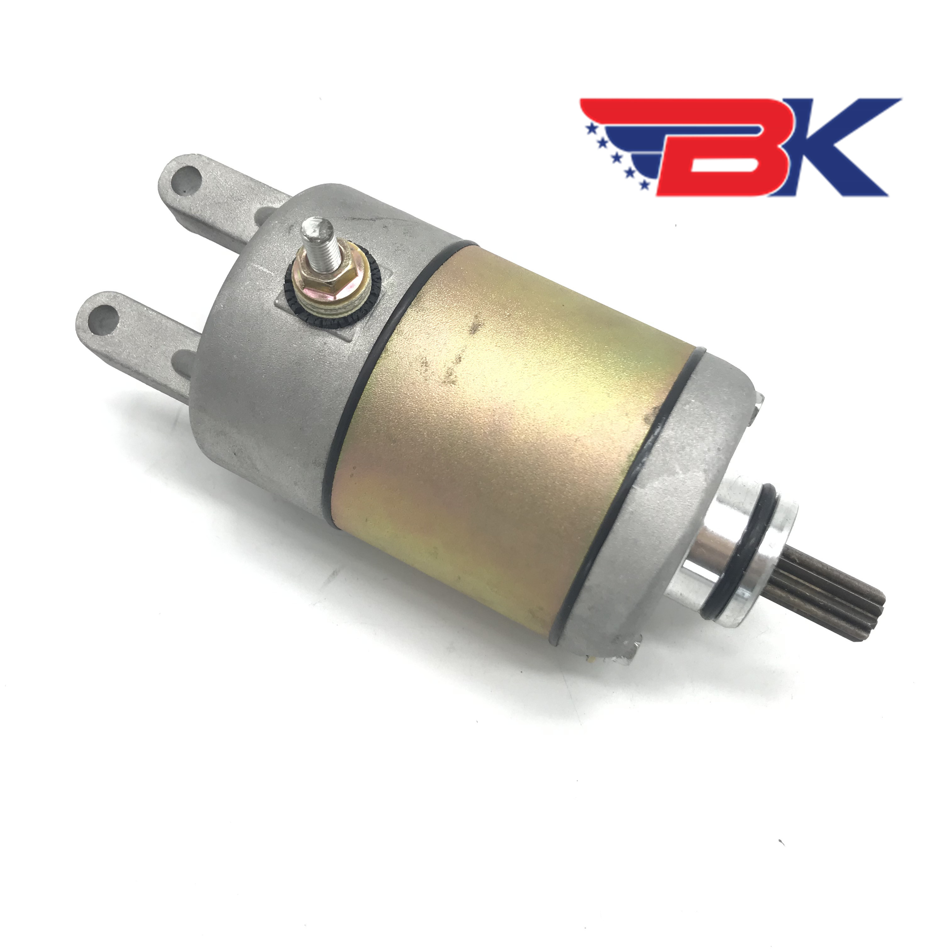 Starter Motor for Chinese Feishen GSMOON Buyang Linhai Jinling 260cc 300cc Scooter ATV Quad JLA-925E 921E Parts